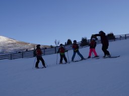 Ski- und Snowboardkurs Weihnachtsferien 2019